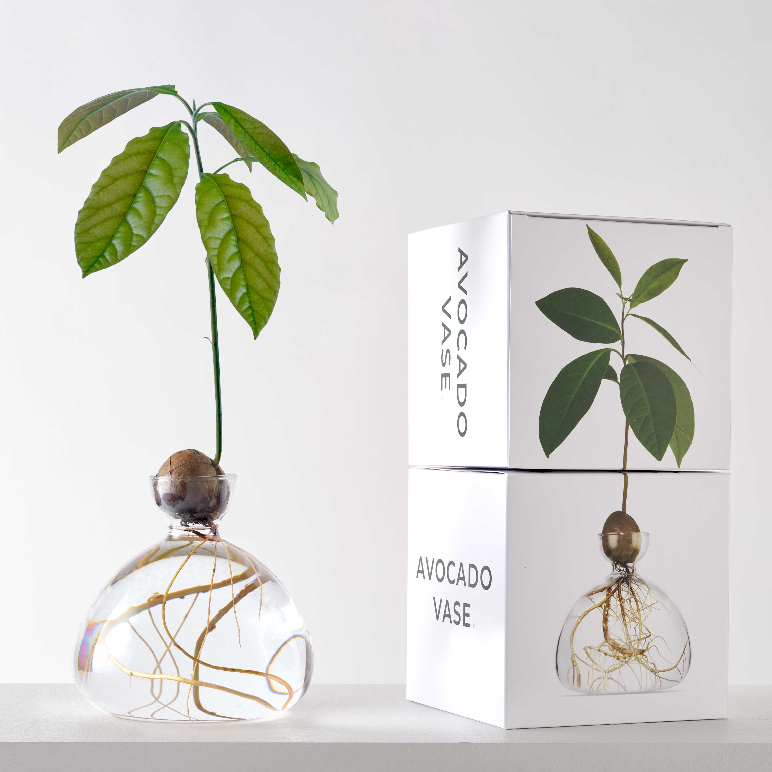 Vase Avokado Brun