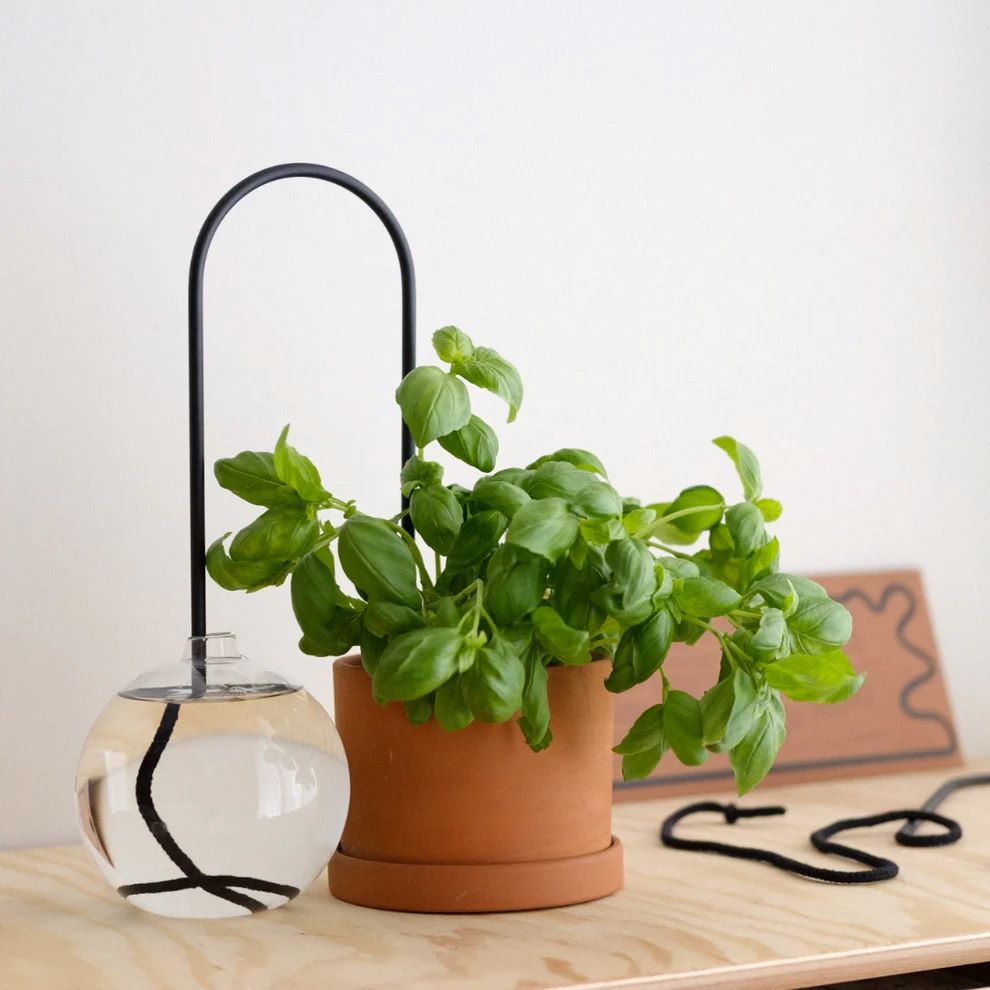 Plant Straws Svart